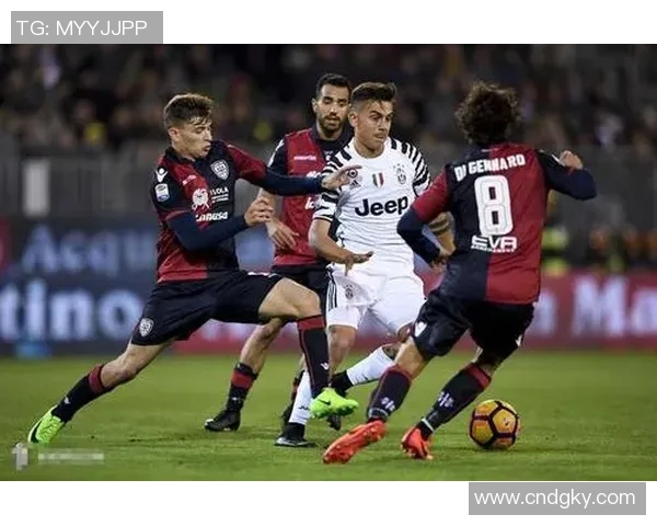 深圳排球队创新盯防战术解析助力球队提升竞技水平与战绩